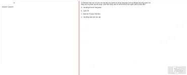 MLN131 SU24 B5 FE_050.webp