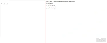 MLN131 SU24 FE_002.webp