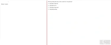MLN131 SU24 FE_004.webp