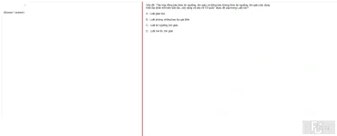 MLN131 SU24 FE_006.webp