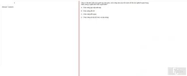 MLN131 SU24 FE_012.webp