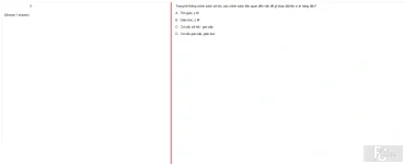 MLN131 SU24 FE_031.webp