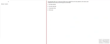 MLN131 SU24 FE_045.webp