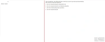 MLN131 SU24 FE_046.webp
