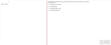MLN131 SU24 FE_054.webp