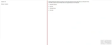 VNR202 FA25 FE RE_029.webp