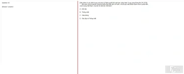 VNR202 FA25 FE_042.webp