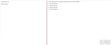 VNR202 SU25 B5 FE_001.webp