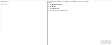 VNR202 SU25 B5 FE_007.webp