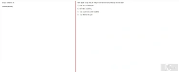 VNR202 SU25 B5 FE_021.webp