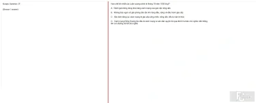VNR202 SU25 B5 FE_037.webp