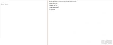 VNR202 SP25 FE RE_006.webp