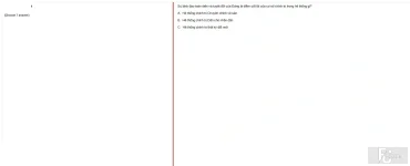 VNR202 SP25 FE RE_014.webp