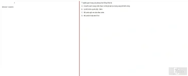 VNR202 SP25 FE RE_021.webp