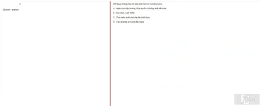 VNR202 SP25 FE RE_026.webp