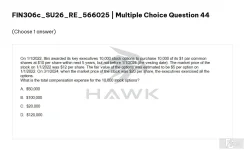 FIN306c SU26 FE RE_044.webp