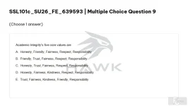 SSL101c SU26 FE_009.webp