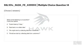 SSL101c SU26 FE_014.webp