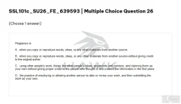 SSL101c SU26 FE_026.webp