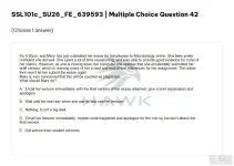 SSL101c SU26 FE_042.webp