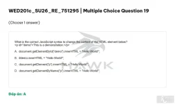 WED201c SU26 FE RE_019.webp