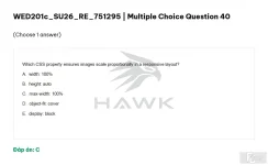 WED201c SU26 FE RE_040.webp