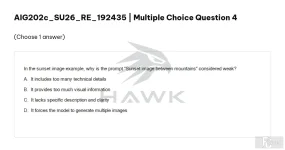 AIG202c SU26 FE RE_004.webp
