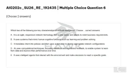 AIG202c SU26 FE RE_006.webp