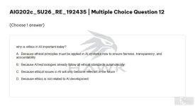 AIG202c SU26 FE RE_012.webp