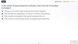MED201c SU26 FE_44.webp