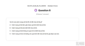 MLN111 SU26 B5 FE_006.webp