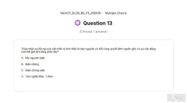 MLN111 SU26 B5 FE_013.webp