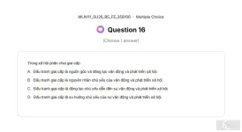 MLN111 SU26 B5 FE_016.webp