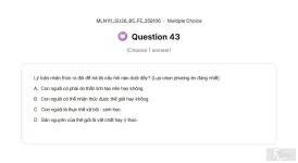 MLN111 SU26 B5 FE_043.webp