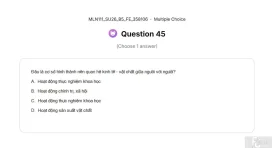 MLN111 SU26 B5 FE_045.webp