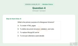 SDN302 SU26 B5 FE_004.webp
