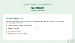 SDN302 SU26 B5 FE_009.webp