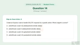 SDN302 SU26 B5 FE_014.webp