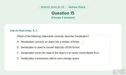 SDN302 SU26 B5 FE_015.webp