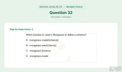 SDN302 SU26 B5 FE_032.webp