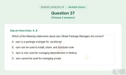 SDN302 SU26 B5 FE_037.webp