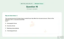 MKT101 SU26 B5 FE_016.webp