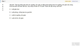 MLN131 SU26 B5 FE_001.webp