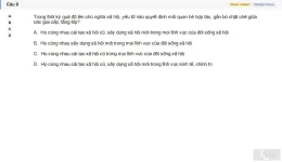 MLN131 SU26 B5 FE_008.webp