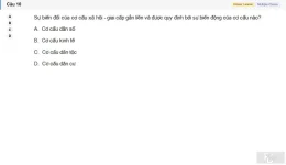 MLN131 SU26 B5 FE_010.webp