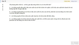 MLN131 SU26 B5 FE_015.webp