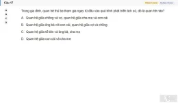MLN131 SU26 B5 FE_017.webp