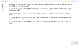 MLN131 SU26 B5 FE_020.webp