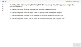 MLN131 SU26 B5 FE_022.webp