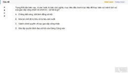 MLN131 SU26 B5 FE_040.webp